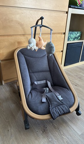 Oyster baby bouncer - oyster, bouncer/rocker